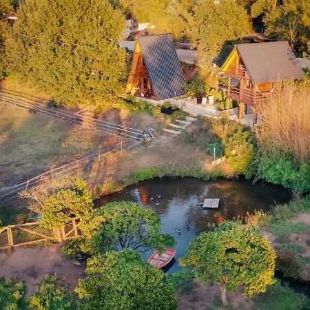 Casa Da Avo - Vale Da Silva Villas Albergaria-a-Velha Zewnętrze zdjęcie