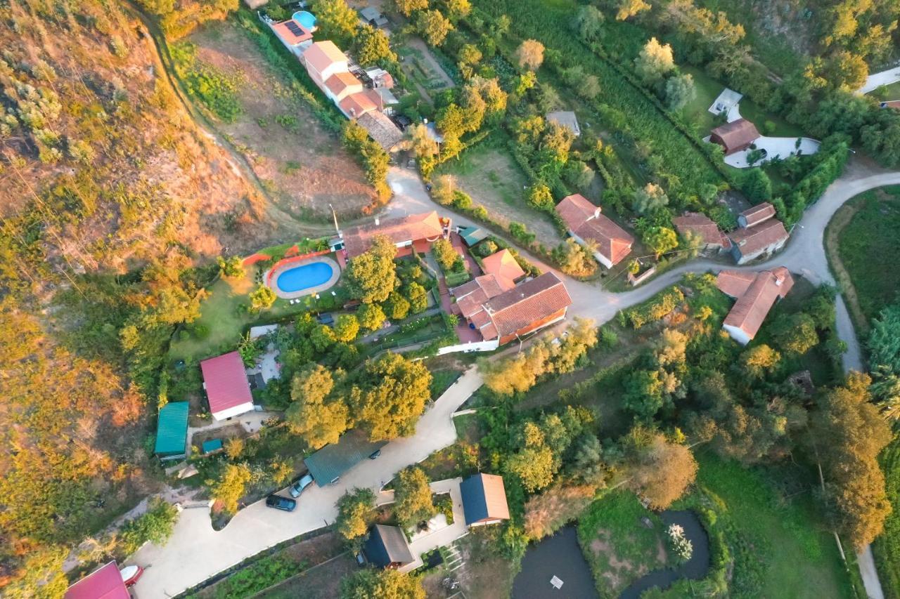 Casa Da Avo - Vale Da Silva Villas Albergaria-a-Velha Zewnętrze zdjęcie