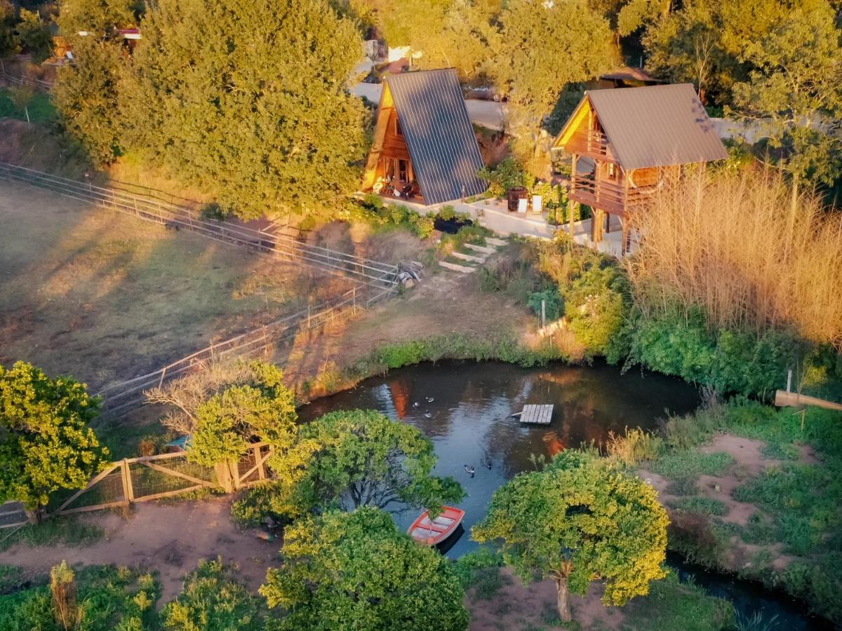 Casa Da Avo - Vale Da Silva Villas Albergaria-a-Velha Zewnętrze zdjęcie