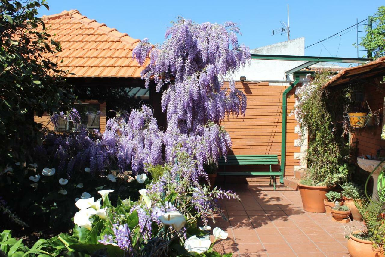 Casa Da Avo - Vale Da Silva Villas Albergaria-a-Velha Zewnętrze zdjęcie