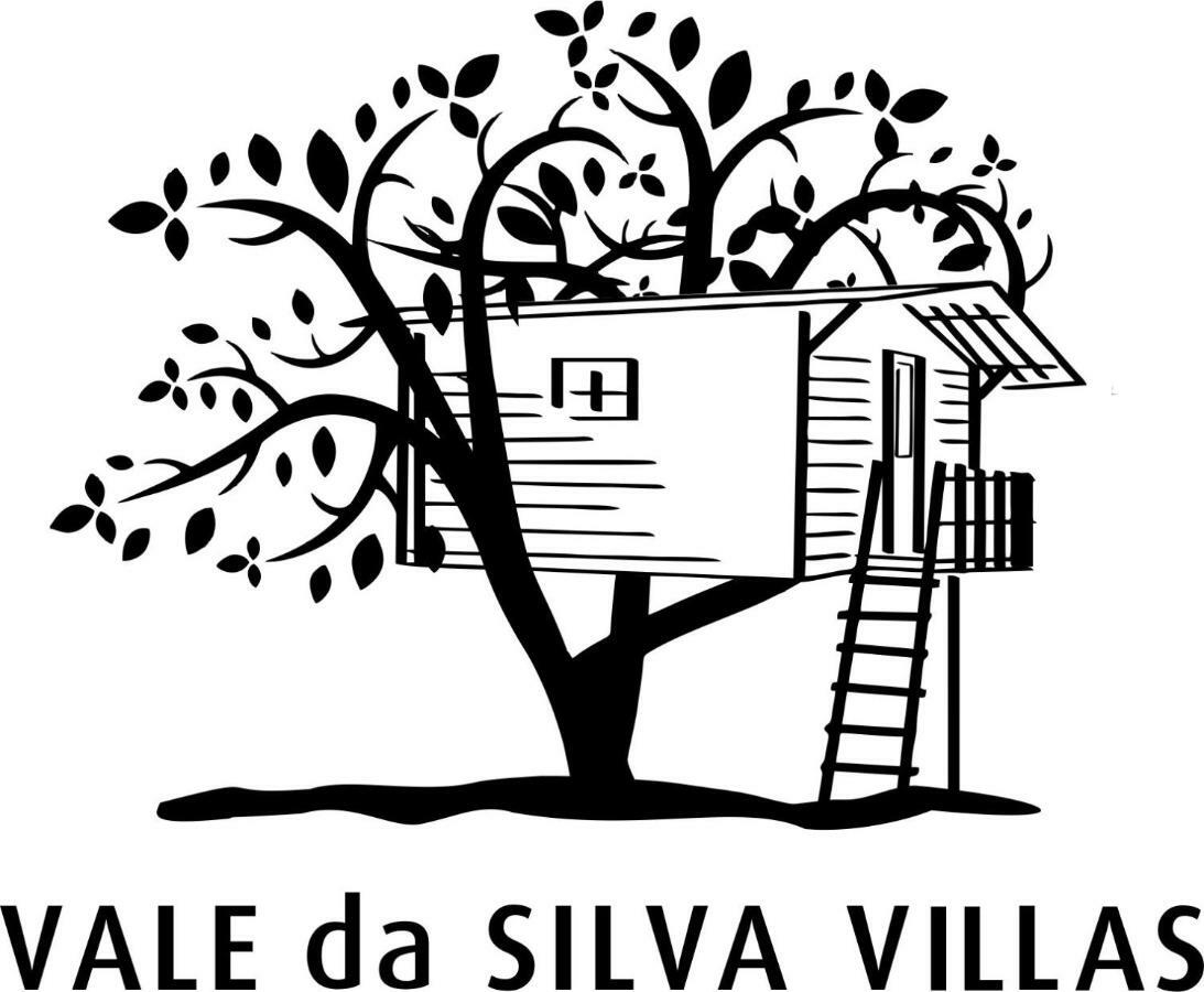 Casa Da Avo - Vale Da Silva Villas Albergaria-a-Velha Zewnętrze zdjęcie